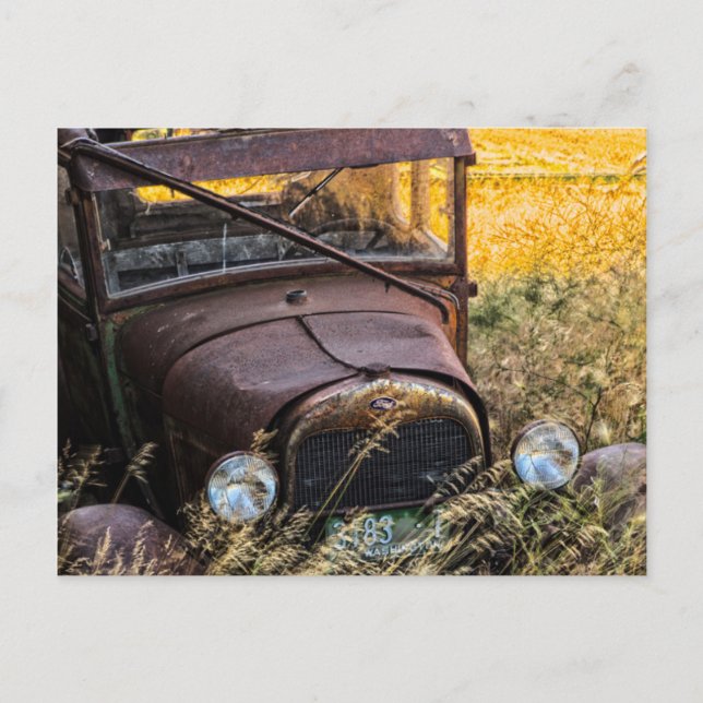 Abandoned old car in tall grass postcard (Front)