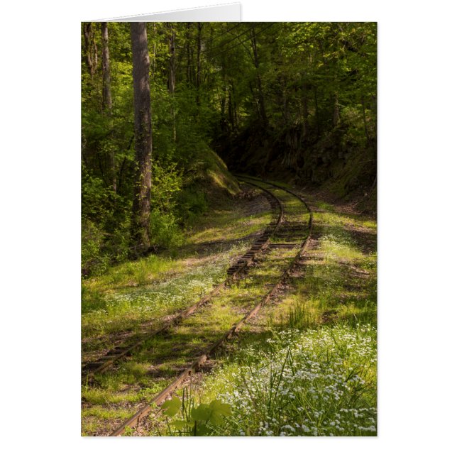 Abandoned Railroad In A Forest (Front)