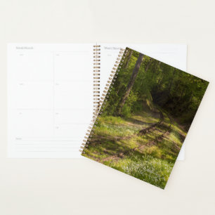 Abandoned Railroad In A Forest Planner