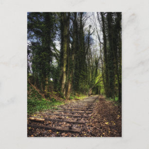 Abandoned Railway Tracks HDR Postcard