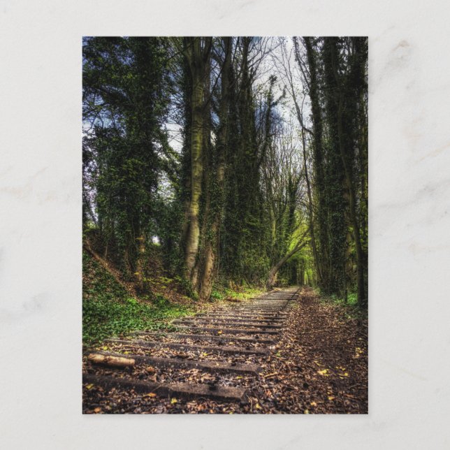 Abandoned Railway Tracks HDR Postcard (Front)