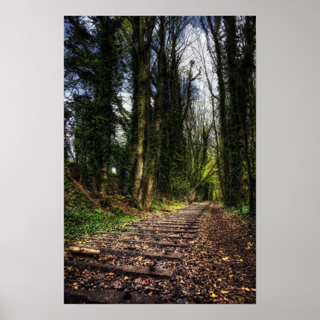 Abandoned Railway Tracks HDR Poster (Front)
