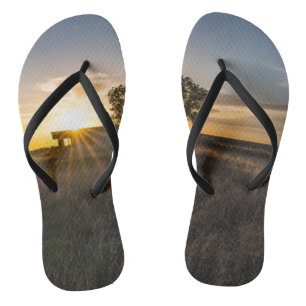 Abandoned Shed Colorado Sunset Flip Flops