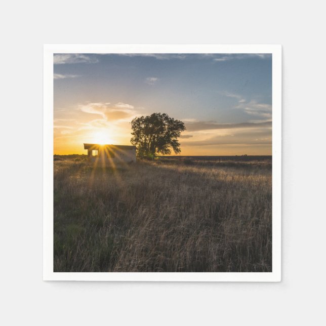 Abandoned Shed Colorado Sunset Paper Napkin (Front)