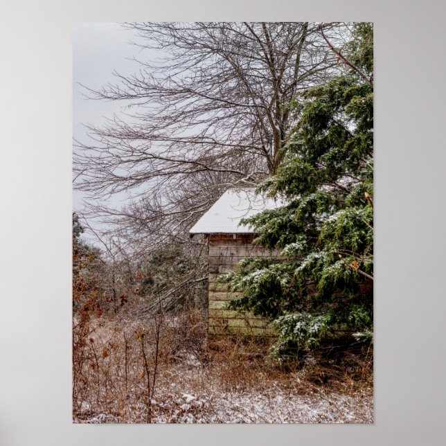 Abandoned Shed Poster (Front)