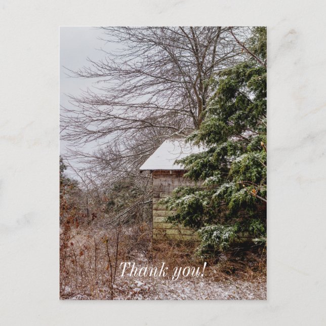 Abandoned Shed Thank You Postcard (Front)