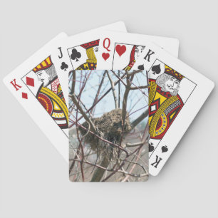 Abandoned Spring Bird Nest Nature  Playing Cards