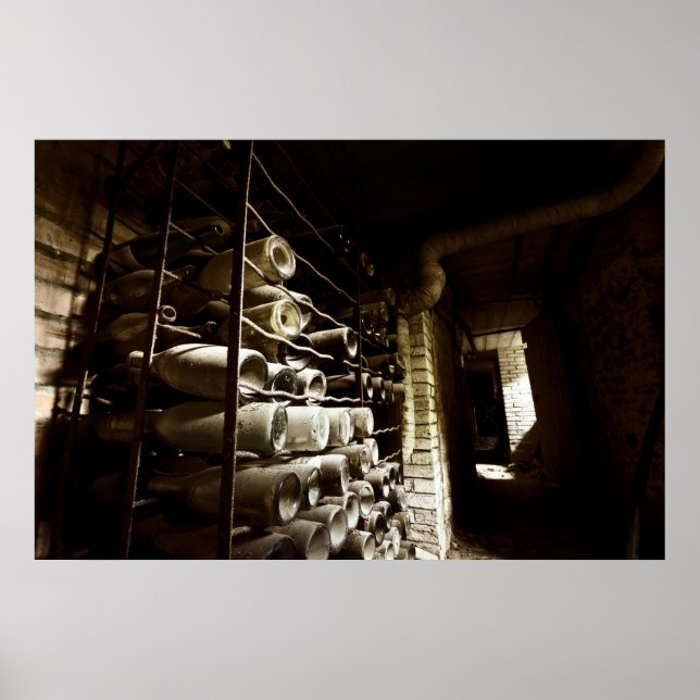 Abandoned Wine Cellar Poster (Front)