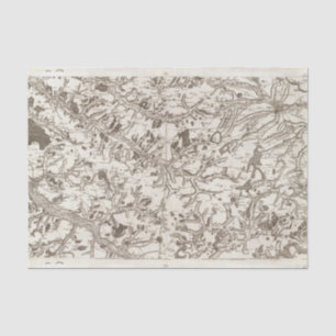 Abbeville Tissue Paper