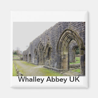 Abbey ruins magnet
