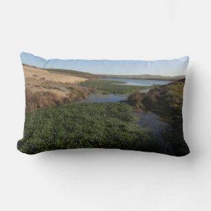 Abbotts Lagoon I at Point Reyes National Seashore Lumbar Cushion