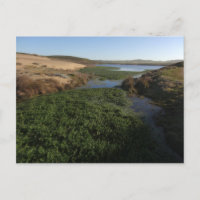 Abbotts Lagoon I at Point Reyes National Seashore