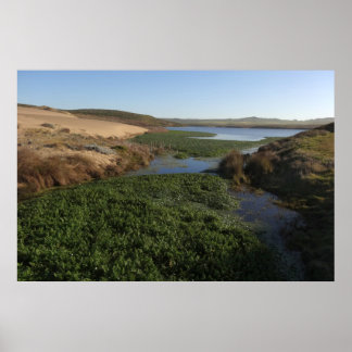 Abbotts Lagoon I at Point Reyes National Seashore Poster