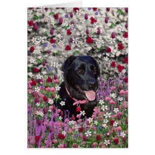 Abby in Flowers – Black Lab Dog
