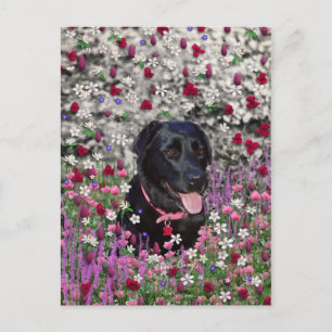 Abby in Flowers – Black Lab Dog Postcard
