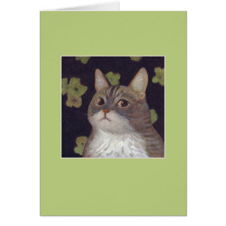 Abby the Cat