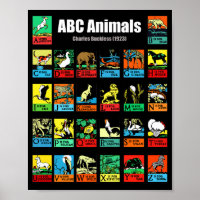 ABC Animals, Charles Buckles (1923)