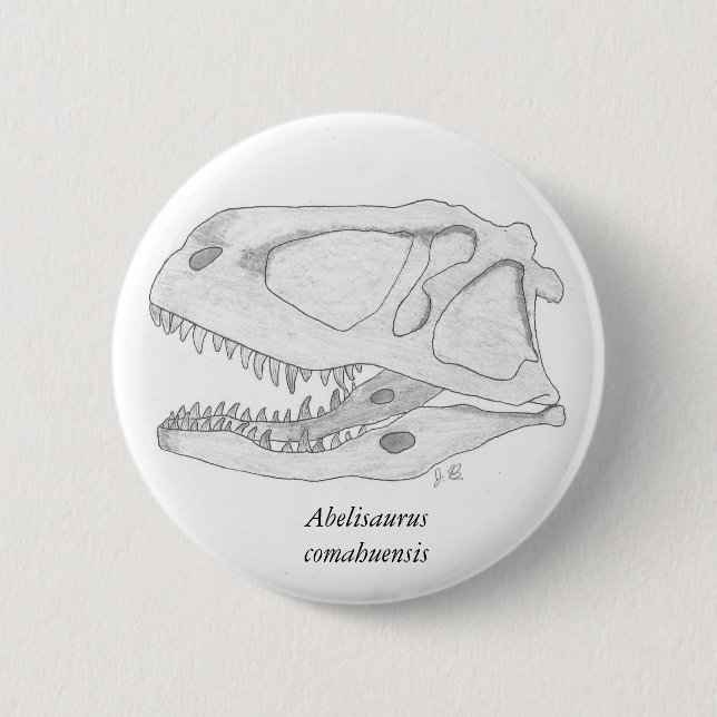 Abelisaurus comahuensis skull button (Front)