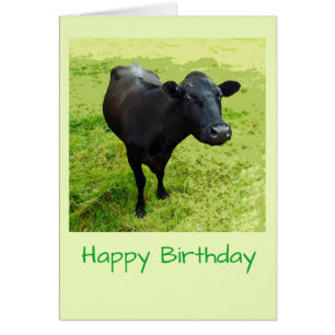 Aberdeen Angus Birthday card