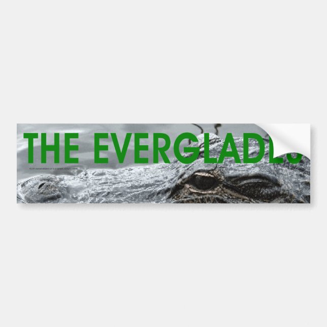 ABH Everglades Bumper Sticker (Front)