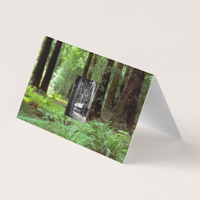 ABH Muir Woods Business Card (Back)