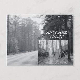 ABH Natchez Trace Postcard