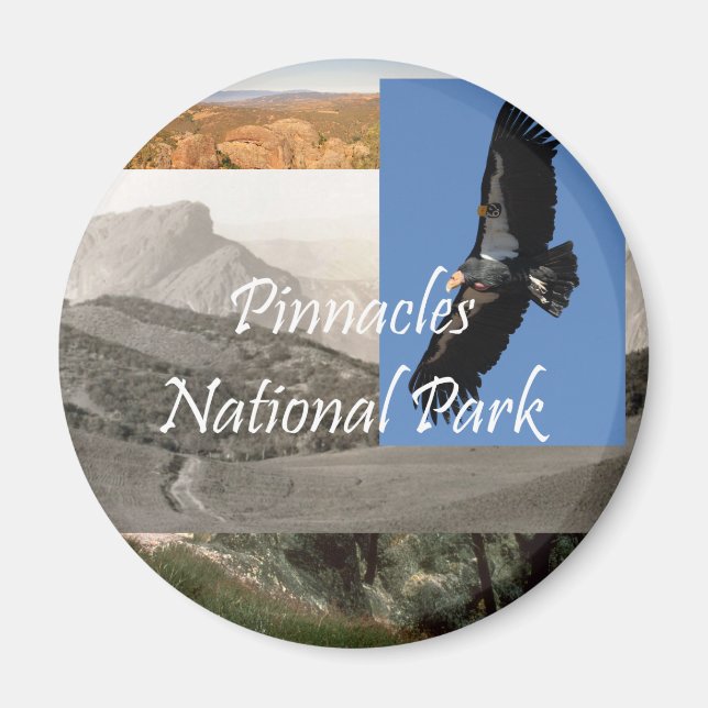 ABH Pinnacles NP Magnet (Front)