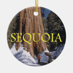 ABH Sequoia Ceramic Tree Decoration
