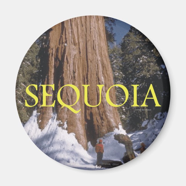 ABH Sequoia Magnet (Front)