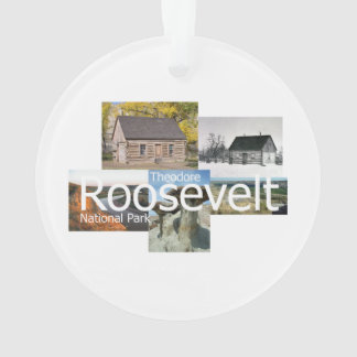 ABH Theodore Roosevelt NP Ornament