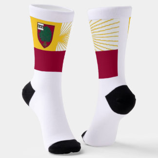 Abington Township (Pennsylvania) city flag Socks