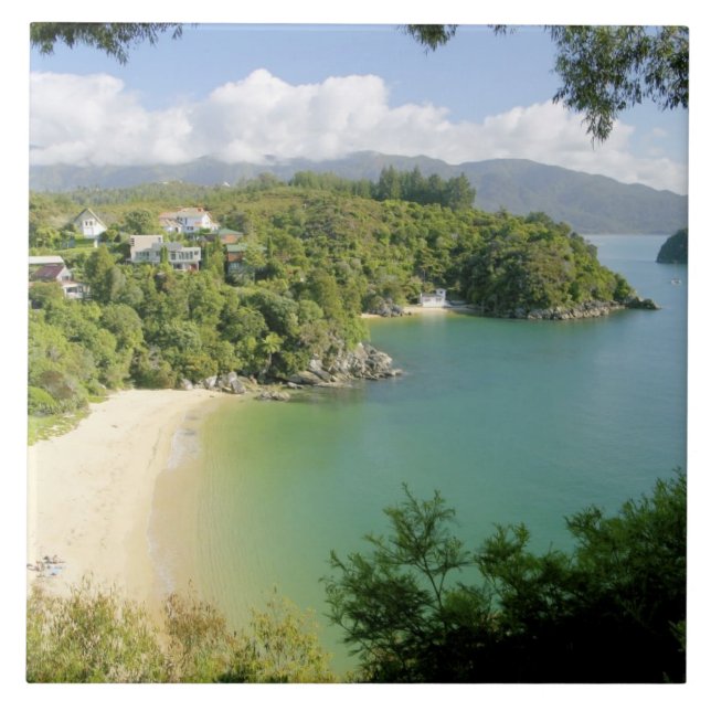 Able Tasman NP, Nelson, New Zealand. The many Tile (Front)
