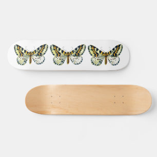 Abraxas grossulariata, The Magpie Moth Colour Imag Skateboard
