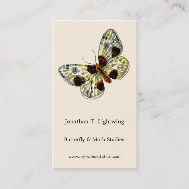 Abraxas sylvata - The Clouded Magpie Moth Business Card (Front)