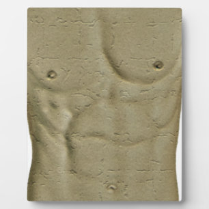 Abs Plaque