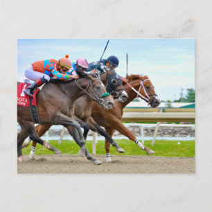 Absentee- Irad Ortiz jr. Camgo, Irish Roar Postcard
