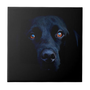 Abstract Animal Dark Dog Tile