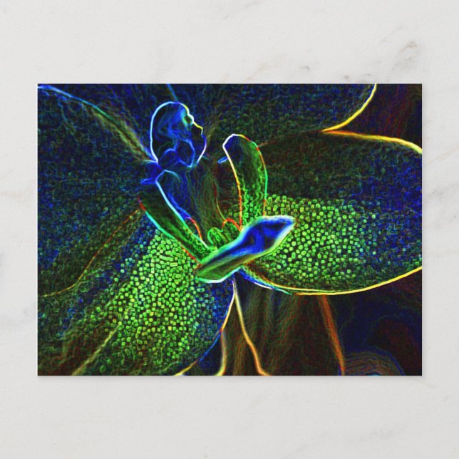 Abstract Anthura postcard (Front)