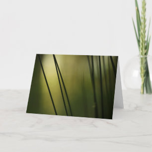 Abstract Art Nature Photograph Card