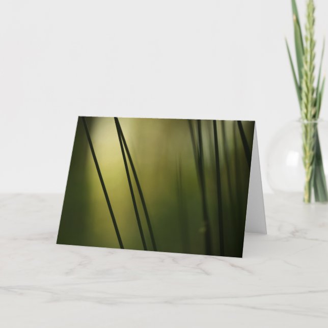 Abstract Art Nature Photograph Card (Front)