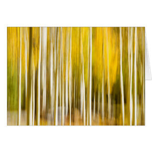 Abstract aspens