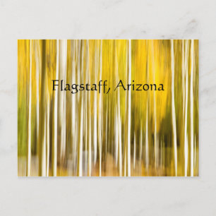 Abstract Aspen's Flagstaff Arizona Postcard