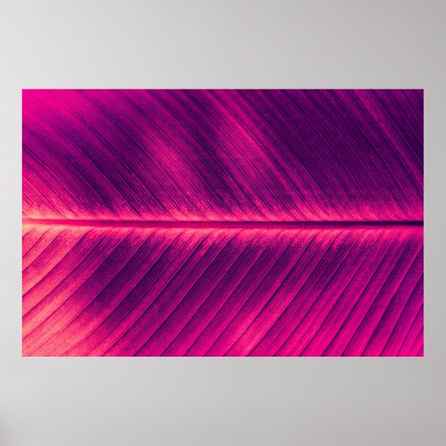 abstract background,  palm leaf vein,  toned proce poster (Front)