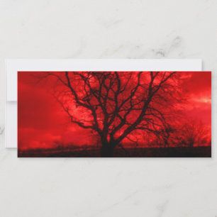 Abstract Bald Tree