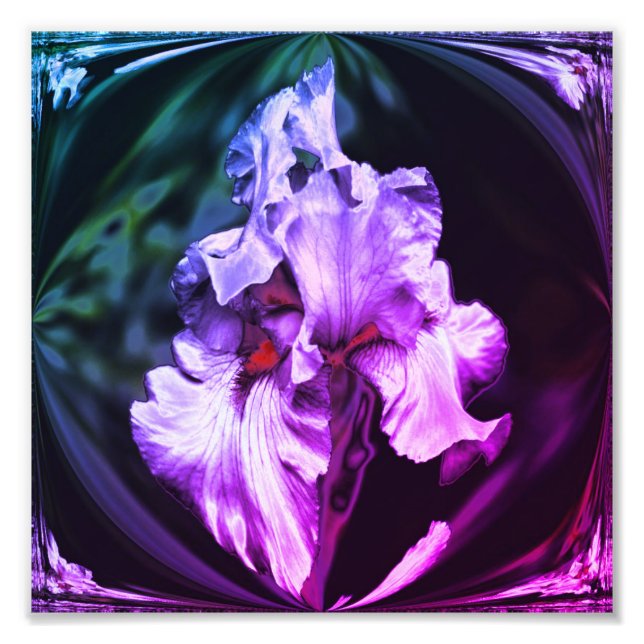 Abstract Bearded Iris Flower Art 8x8 Photo Print (Front)