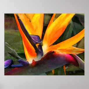 Abstract Bird of Paradise Poster