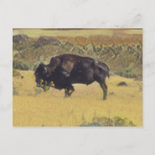Abstract Bison in a yellow field of flowers Postcard
