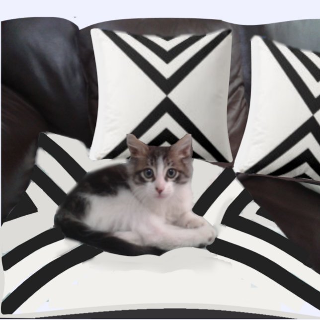 Abstract Black & White Striped Throw Pillow (Creator Uploaded)