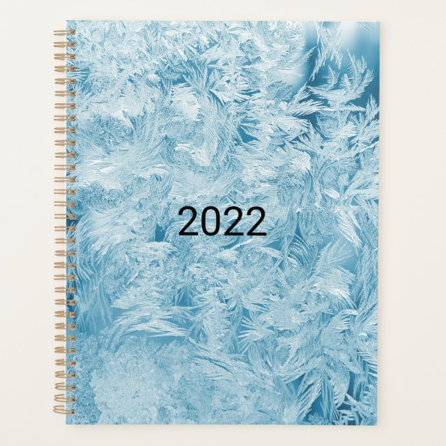 abstract blue feathers and snowflakes planner (Front)