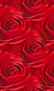 Red Rose Wallpaper Iphone Cases Covers Zazzle Co Nz